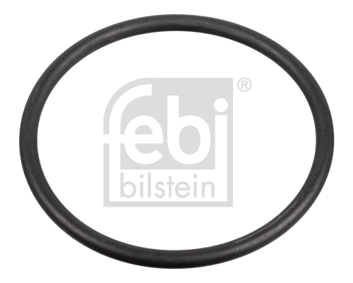 Uszczelka, pompa paliwowa 172666 FEBI BILSTEIN