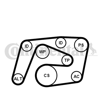 Zestaw paska klinowego wielorowkowego 6PK2260K1 CONTITECH
