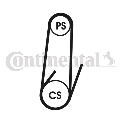 Pasek klinowy wielorowkowy 4PK1102 ELAST CONTITECH