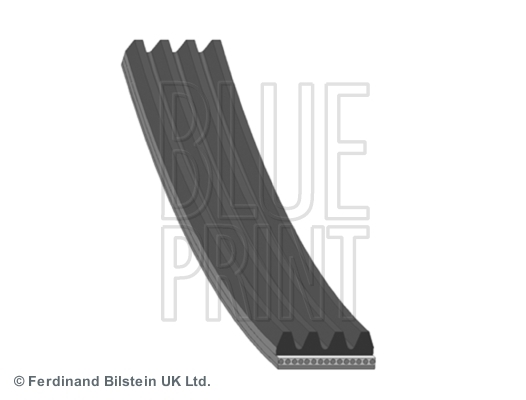 Pasek klinowy wielorowkowy AD04R800 BLUE PRINT