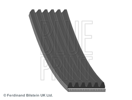 Pasek klinowy wielorowkowy AD06R975 BLUE PRINT
