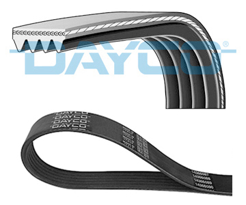 Pasek klinowy wielorowkowy 4PK812 DAYCO