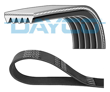 Pasek klinowy wielorowkowy 5PK975 DAYCO