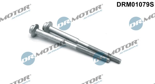 ŚRUBA WTRYSKIWACZA VW GOLF 1,6TDI 12- 2SZT. DRM01079S DR.MOTOR